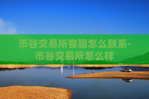 币谷交易所客服怎么联系-币谷交易所怎么样