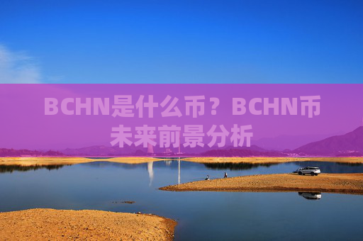 BCHN是什么币？BCHN币未来前景分析