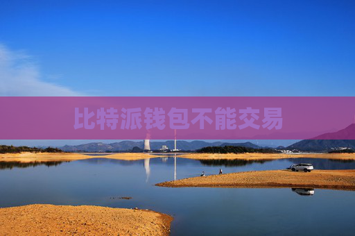 比特派钱包不能交易