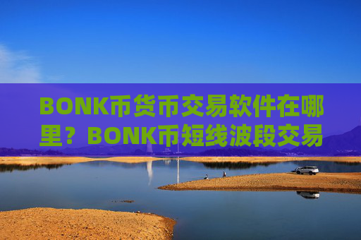 BONK币货币交易软件在哪里？BONK币短线波段交易网站