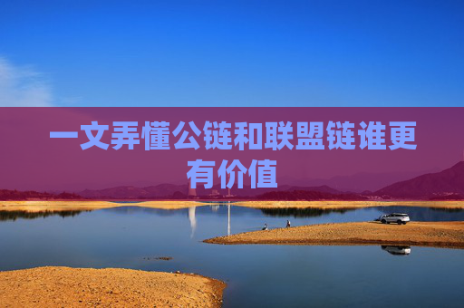 一文弄懂公链和联盟链谁更有价值