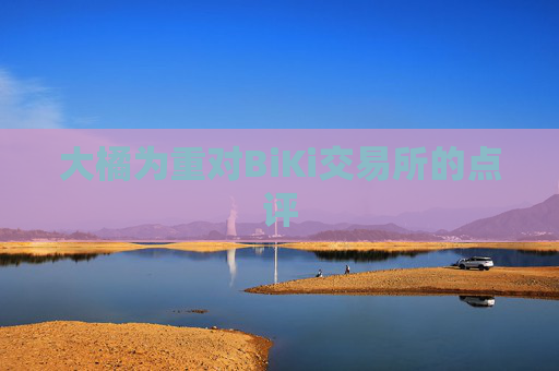 大橘为重对BiKi交易所的点评