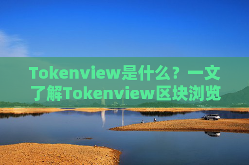 Tokenview是什么？一文了解Tokenview区块浏览器