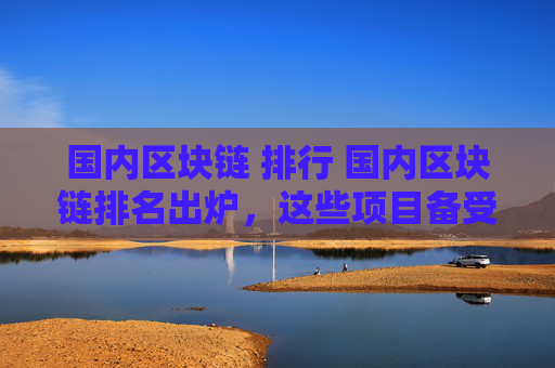 国内区块链 排行 国内区块链排名出炉,这些项目备受关注