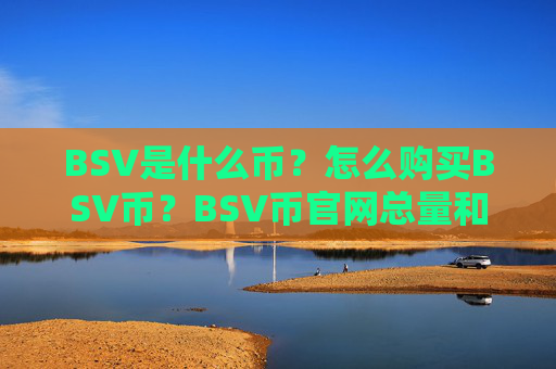 BSV是什么币？怎么购买BSV币？BSV币官网总量和币种概念介绍