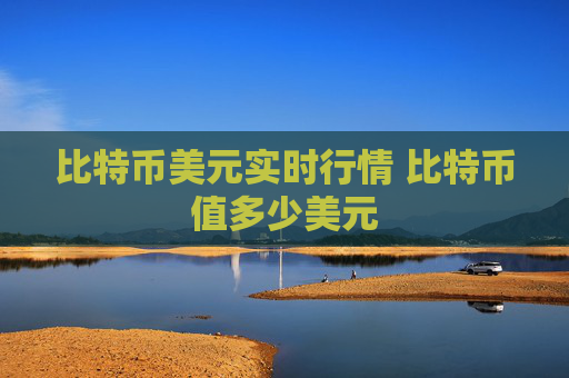 比特币美元实时行情 比特币值多少美元