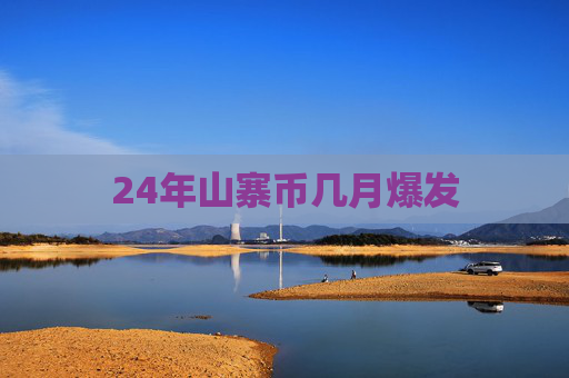 24年山寨币几月爆发