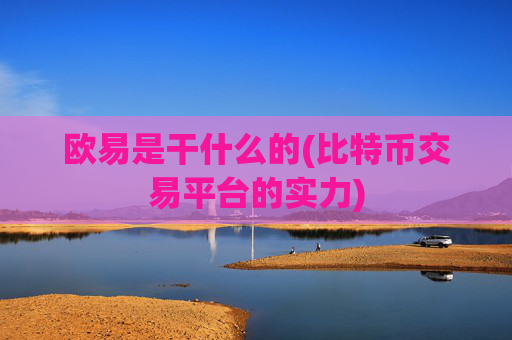 欧易是干什么的(比特币交易平台的实力)