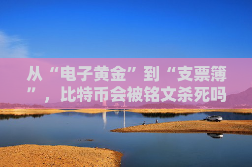 从“电子黄金”到“支票簿”，比特币会被铭文杀死吗？