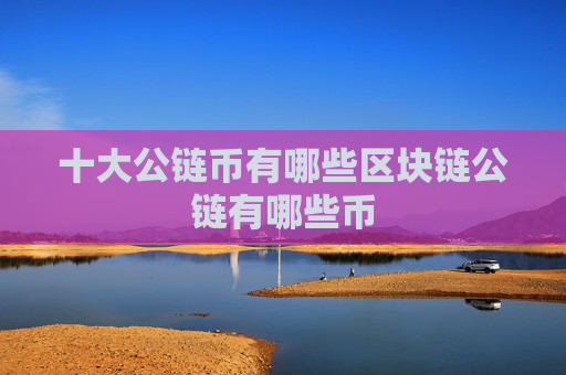 十大公链币有哪些区块链公链有哪些币
