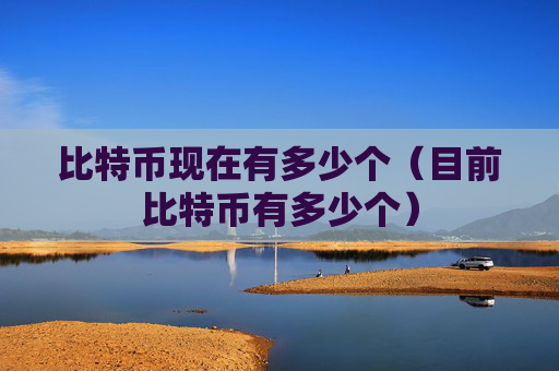 比特币现在有多少个（目前比特币有多少个）