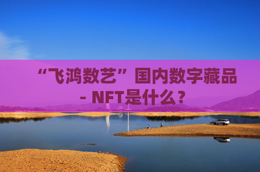 “飞鸿数艺”国内数字藏品 - NFT是什么？
