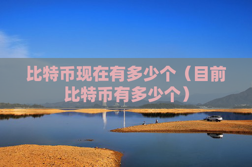 比特币现在有多少个（目前比特币有多少个）