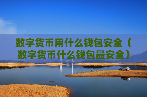 数字货币用什么钱包安全（数字货币什么钱包最安全）