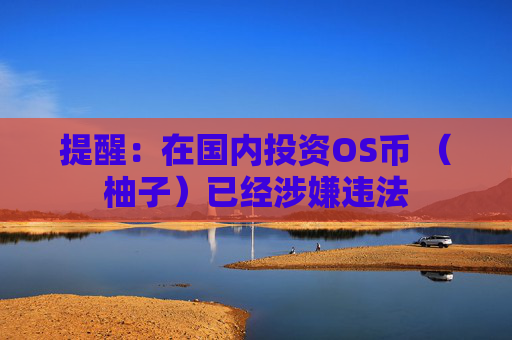 提醒：在国内投资OS币 （柚子）已经涉嫌违法