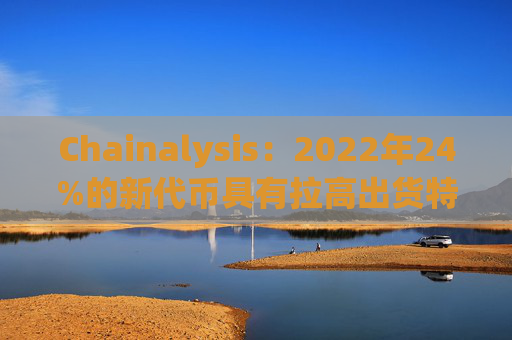Chainalysis：2022年24%的新代币具有拉高出货特性