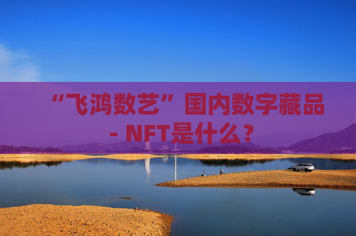 “飞鸿数艺”国内数字藏品 - NFT是什么？