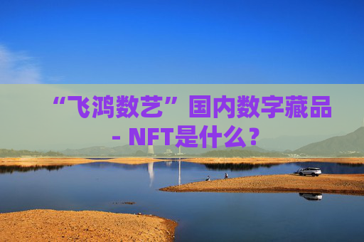 “飞鸿数艺”国内数字藏品 - NFT是什么？