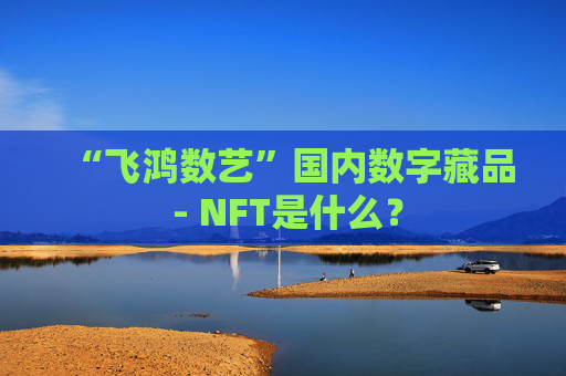 “飞鸿数艺”国内数字藏品 - NFT是什么？