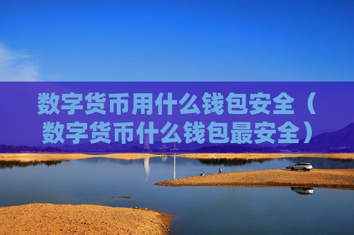 数字货币用什么钱包安全（数字货币什么钱包最安全）