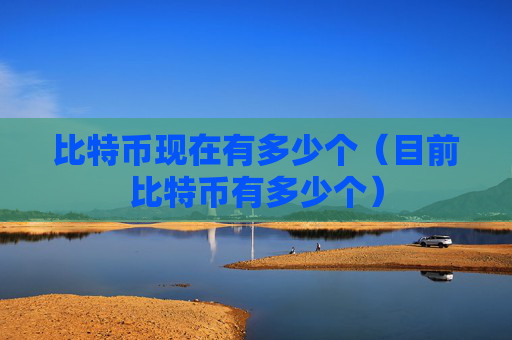 比特币现在有多少个（目前比特币有多少个）