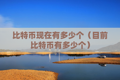 比特币现在有多少个（目前比特币有多少个）