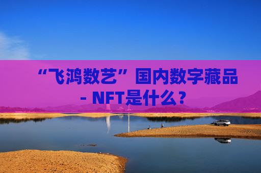 “飞鸿数艺”国内数字藏品 - NFT是什么？