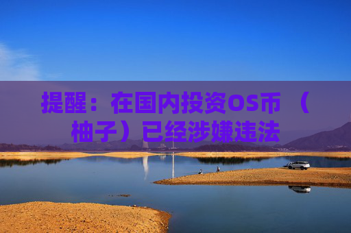 提醒：在国内投资OS币 （柚子）已经涉嫌违法
