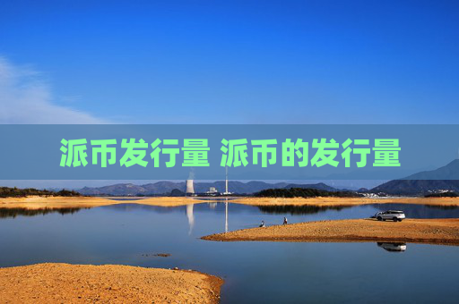 派币发行量 派币的发行量