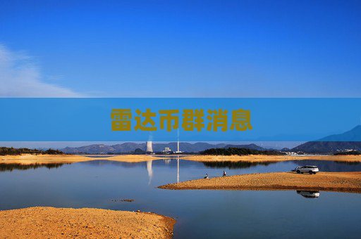雷达币群消息