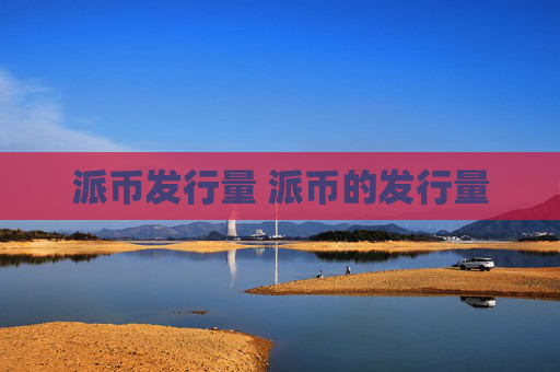 派币发行量 派币的发行量