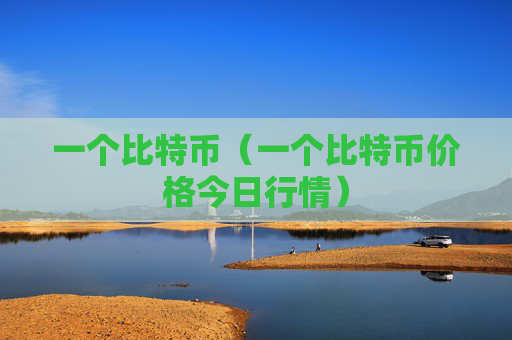 一个比特币（一个比特币价格今日行情）