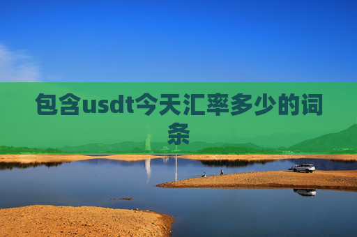 包含usdt今天汇率多少的词条