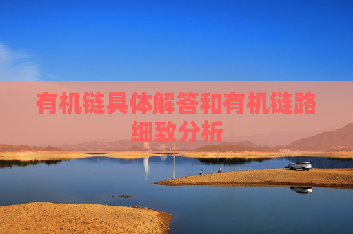 有机链具体解答和有机链路细致分析