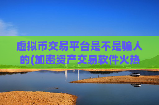 虚拟币交易平台是不是骗人的(加密资产交易软件火热推荐)