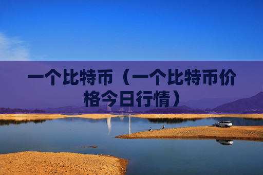 一个比特币（一个比特币价格今日行情）