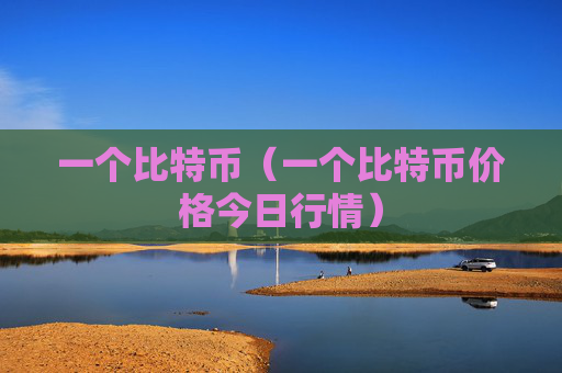 一个比特币（一个比特币价格今日行情）