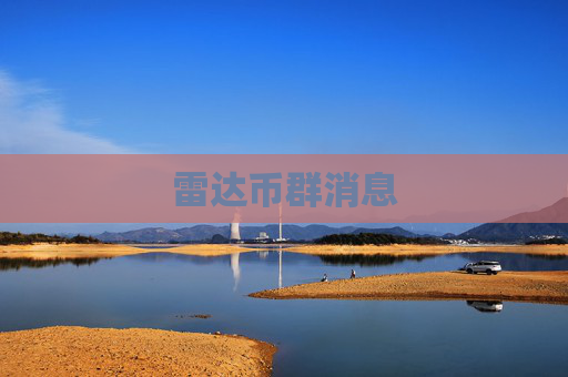 雷达币群消息