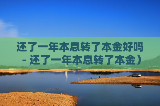 还了一年本息转了本金好吗 - 还了一年本息转了本金）