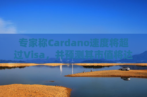专家称Cardano速度将超过Visa，并预测其市值将达到10万亿美元——如果这种情况发生，ADA的价格将如何变化？