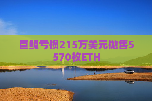 巨鲸亏损215万美元抛售5570枚ETH