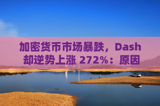 加密货币市场暴跌，Dash 却逆势上涨 272%：原因何在？