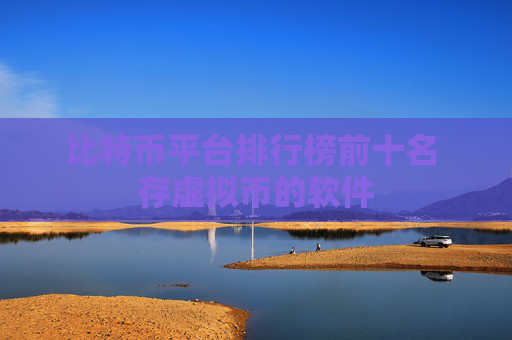 比特币平台排行榜前十名 存虚拟币的软件