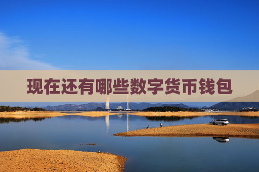 现在还有哪些数字货币钱包