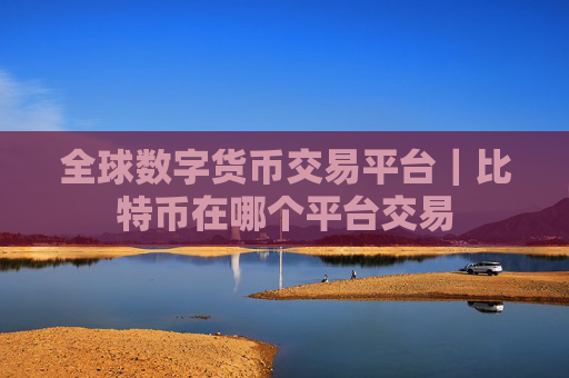 全球数字货币交易平台|比特币在哪个平台交易