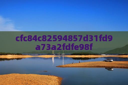 cfc84c82594857d31fd9a73a2fdfe98f