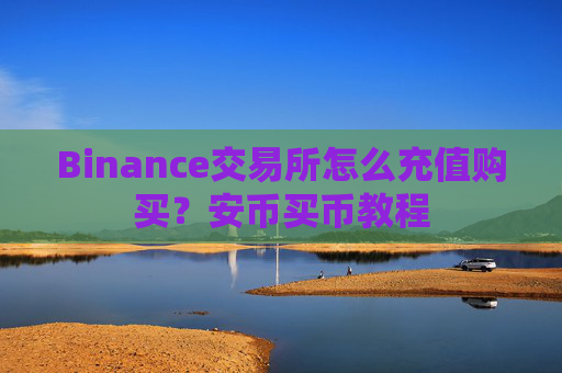 Binance交易所怎么充值购买？安币买币教程