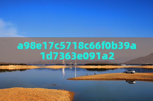 a98e17c5718c66f0b39a1d7363e091a2