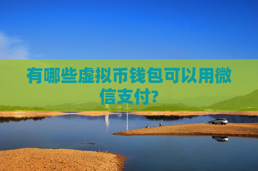 有哪些虚拟币钱包可以用微信支付?