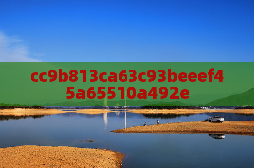 cc9b813ca63c93beeef45a65510a492e